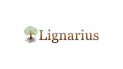 Lignarius